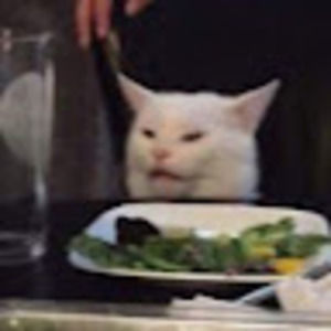 Meet your Posher, Aubrey